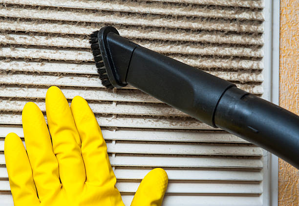 Best Emergency Air Duct Cleaning Services in Meridian, CO